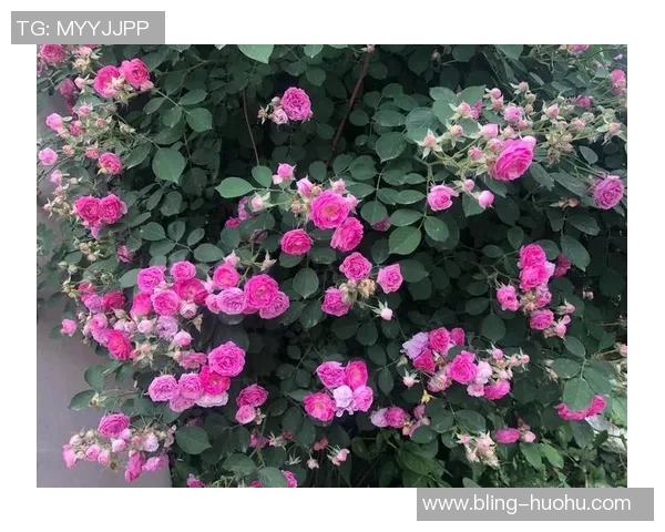 福法纳谈古斯托：我们关系密切他每天都在努力进步